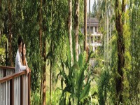 dusit thani krabi experience lifestyle garden view scaled 1920x400